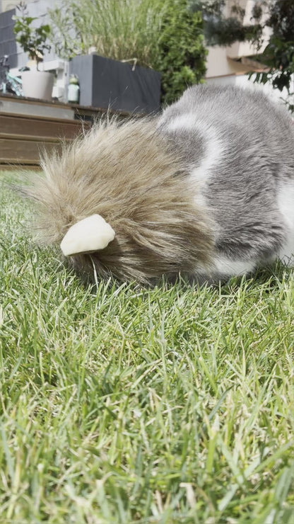 SNOOZYCAT® Baldrianwurzel – 100 % natürliche Kräuter – geschnitten & lose – beruhigend & animierend – 40 g